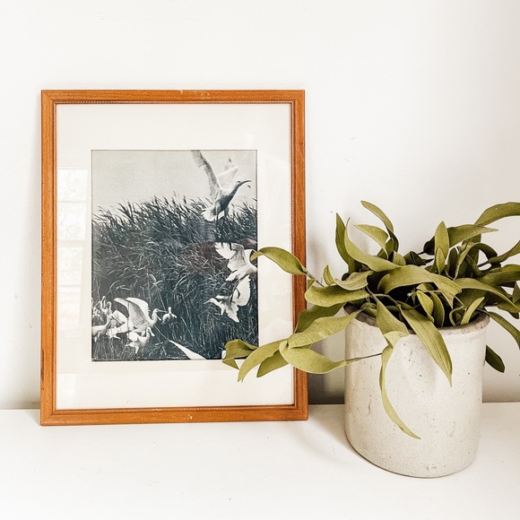 Black and white bird art